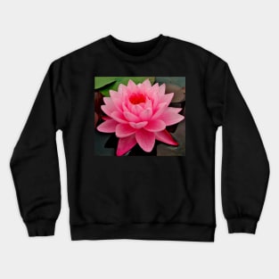 vibrant pink water lily on still water Crewneck Sweatshirt